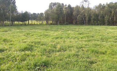 Hermosas Parcelas cercanas a Los Lagos