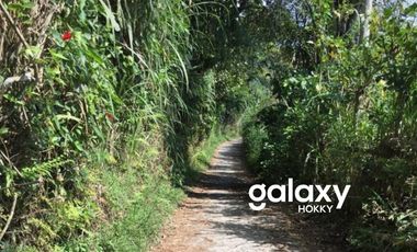 DIJUAL TANAH KINTAMANI BANGLI, BALI