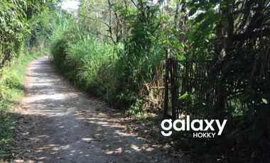 DIJUAL TANAH KINTAMANI BANGLI, BALI