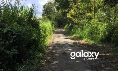 DIJUAL TANAH KINTAMANI BANGLI, BALI