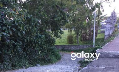 DIJUAL TANAH KINTAMANI BANGLI, BALI