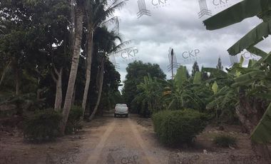 3 houses for sale with fruit orchard, convenient travel, Khao Krapuk Subdistrict, Tha Yang District, Phetchaburi.