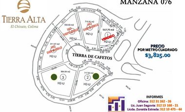 TERRENO EN VENTA EN  COLIMA