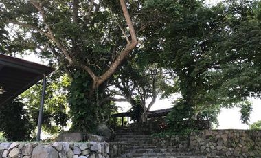 TERRENO EN VENTA EN  COLIMA