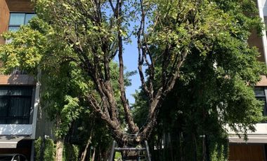 ลดแรงเกินต้าน !! บ้านทาวน์โฮมราคาดีที่สุดในตลาด ทำเลลาดพร้าว 71 ซอย.สตรีวิทยา 2 ขายถูกโครงการ Arden ( อาร์เด้น) ขนาด 20 ตร.วาใช้สอย 185 ตร.เมตร หน้ากว