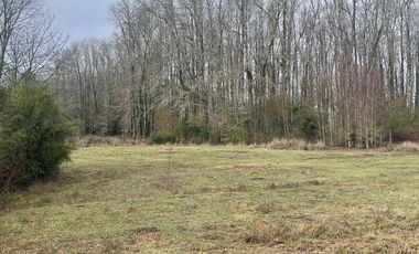 OPORTUNIDAD!!HERMOSA PARCELA 5000 M2 UBICADA A 11 KM DE VILLARRICA, CON AGUA Y ELECTRICIDAD