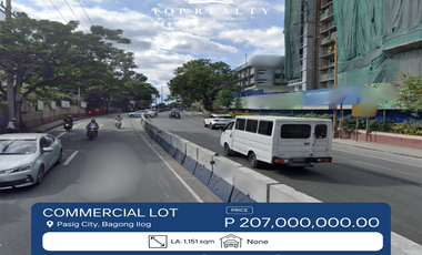 Commercial/Residential Lot for Sale in Bagong Ilog, Pasig City