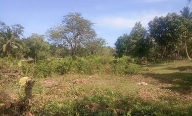 For Sale Commercial Lot in San Vicente, Palawan