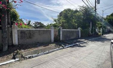 683 sqm Vacant Lot For Sale in United Parañaque Subdivision (UPS)