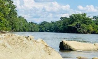 SE VENDE 44. 8 HAS DE SELVA VIRGEN EN LA AMAZONIA ECUATORIANA, IDEAL PARA PROYECTO TURISTICO Y/O LABORATORIO CIENTÍFICO
