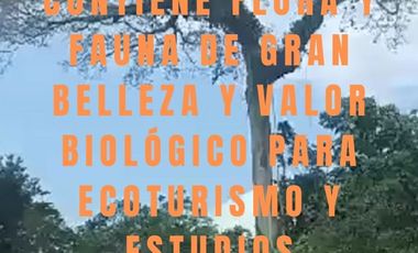 SE VENDE 44. 8 HAS DE SELVA VIRGEN EN LA AMAZONIA ECUATORIANA, IDEAL PARA PROYECTO TURISTICO Y/O LABORATORIO CIENTÍFICO