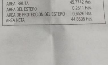 SE VENDE 44. 8 HAS DE SELVA VIRGEN EN LA AMAZONIA ECUATORIANA, IDEAL PARA PROYECTO TURISTICO Y/O LABORATORIO CIENTÍFICO