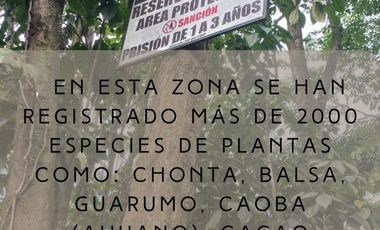 SE VENDE 44. 8 HAS DE SELVA VIRGEN EN LA AMAZONIA ECUATORIANA, IDEAL PARA PROYECTO TURISTICO Y/O LABORATORIO CIENTÍFICO