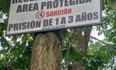 SE VENDE 44. 8 HAS DE SELVA VIRGEN EN LA AMAZONIA ECUATORIANA, IDEAL PARA PROYECTO TURISTICO Y/O LABORATORIO CIENTÍFICO