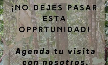 SE VENDE 44. 8 HAS DE SELVA VIRGEN EN LA AMAZONIA ECUATORIANA, IDEAL PARA PROYECTO TURISTICO Y/O LABORATORIO CIENTÍFICO