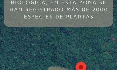 SE VENDE 44. 8 HAS DE SELVA VIRGEN EN LA AMAZONIA ECUATORIANA, IDEAL PARA PROYECTO TURISTICO Y/O LABORATORIO CIENTÍFICO