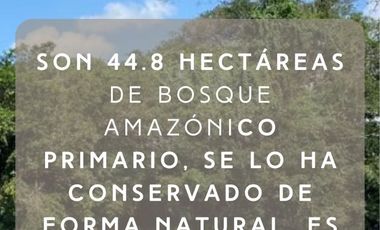 SE VENDE 44. 8 HAS DE SELVA VIRGEN EN LA AMAZONIA ECUATORIANA, IDEAL PARA PROYECTO TURISTICO Y/O LABORATORIO CIENTÍFICO