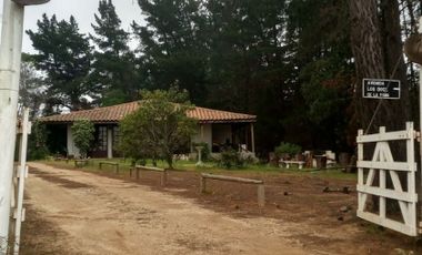 ARRIENDO  HERMOSA CASA EN PARCELA, ALGARROBO