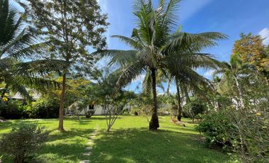 Large and Mountain View 4-bedroom house with pool for sale and rent in the center of Aonang, Krabi