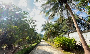 Large and Mountain View 4-bedroom house with pool for sale and rent in the center of Aonang, Krabi