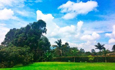 PR17821 Lote en arriendo en Carmen de Viboral