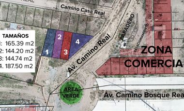 OPORTUNIDAD DE LOTES EN LA PROVIDENCIA