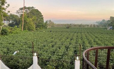 House & Lot Property for Sale @San Pablo City, Laguna