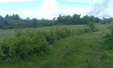 For Sale Agricultural Lot in Santa Barbara, Iloilo