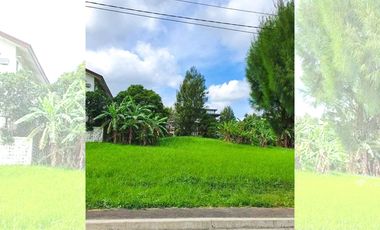 LOT FOR SALE IN ROYALE TAGAYTAY ESTATES