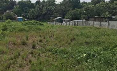 FOR SALE  COMMERCIAL LOT OF 2.1 HECTARES IN LINAO, TALISAY CITY, CEBU