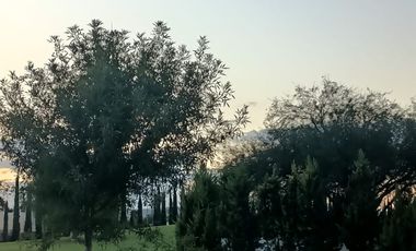 TERRENO RESIDENCIAL EN CAMPESTRE CLUB DE GOLF NORTE EN VENTA, CON VISTA AL CAMPO