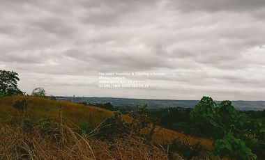 Lot for Sale in San Mateo Rizal