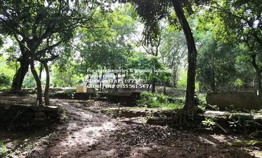 Lot for Sale in San Mateo Rizal