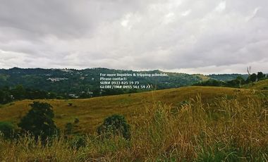 Lot for Sale in San Mateo Rizal