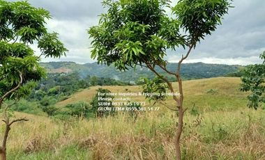 Lot for Sale in San Mateo Rizal