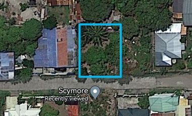 Lot for sale Rosario Heights Subd. Taculing Bacolod City