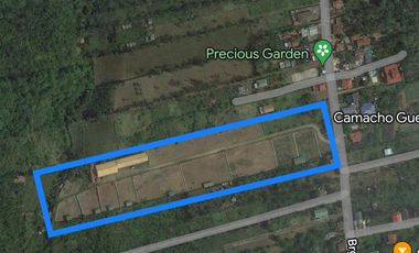 **buyer only** Cavite Agricultural Lot - Silang, Cavite