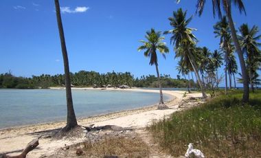 28,079 Hectares Island For Sale at Municipality of Quezon, Palawan