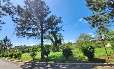 FOR SALE! 1,038 sqm Residential Lot at Ponderosa Leisure Farms, Silang Cavite