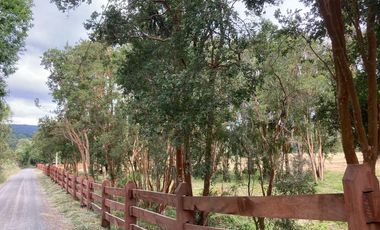 SE VENDEN HERMOSAS PARCELAS SECTOR EL ENCANTO PUYEHUE