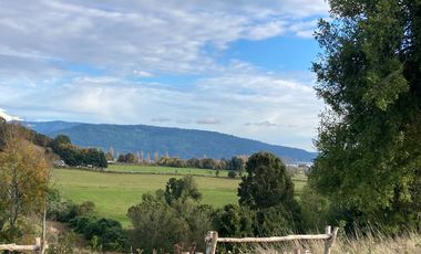 SE VENDEN HERMOSAS PARCELAS SECTOR EL ENCANTO PUYEHUE