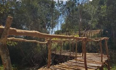 SE VENDEN HERMOSAS PARCELAS SECTOR EL ENCANTO PUYEHUE