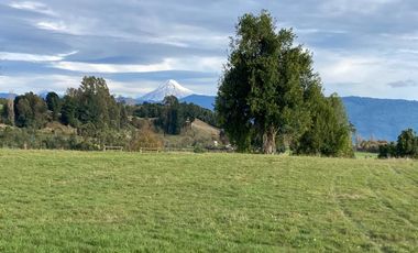 SE VENDEN HERMOSAS PARCELAS SECTOR EL ENCANTO PUYEHUE
