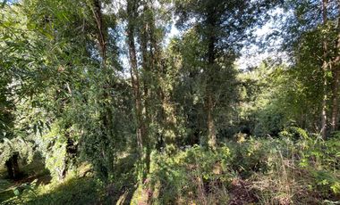 SE VENDEN HERMOSAS PARCELAS SECTOR EL ENCANTO PUYEHUE