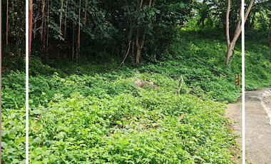 The Ranch, Timberland Heights, San Mateo, Rizal - Lot for Sale
