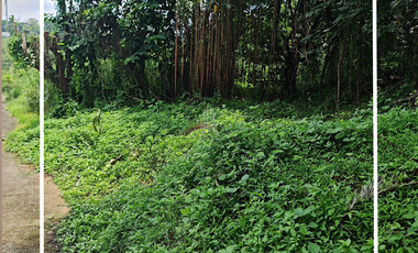 The Ranch, Timberland Heights, San Mateo, Rizal - Lot for Sale