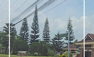 The Ranch, Timberland Heights, San Mateo, Rizal - Lot for Sale