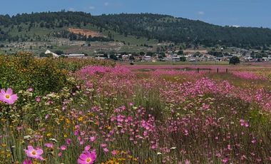VENTA- Cabaña en fraccionamiento Llano Grande, Sierra de Durango