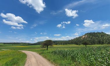 VENTA- Cabaña en fraccionamiento Llano Grande, Sierra de Durango