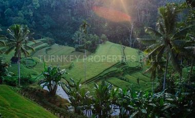 Luxury Boutique Resort & Spa in Ubud